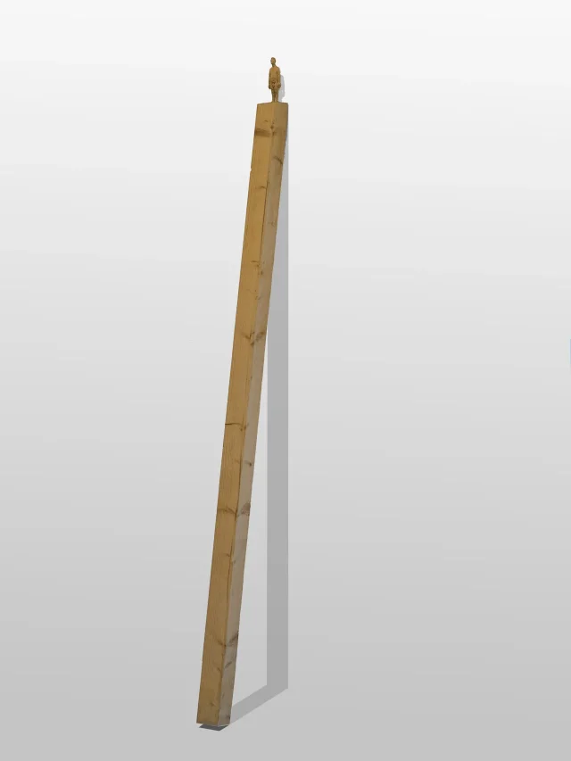 Wandlehner